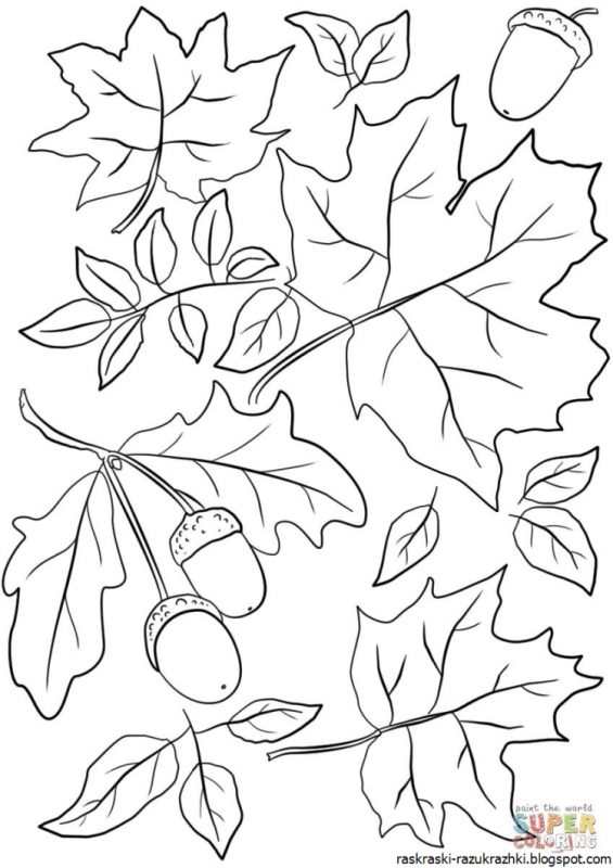 Осенние листья задания для дошкольников