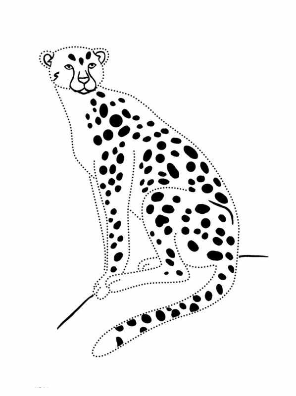 Поэтапное рисование гепарда