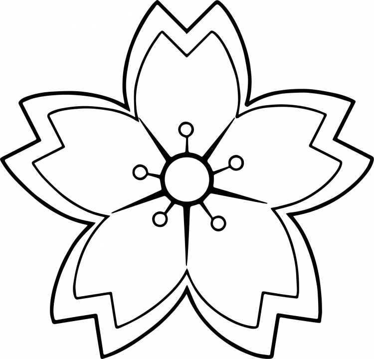 Цветочная Поляна раскраска для детей