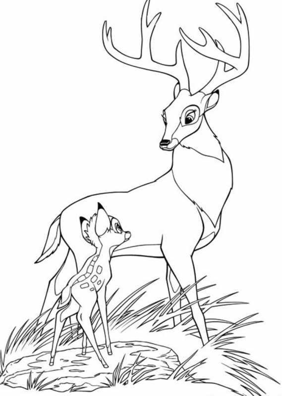 Раскраска олень новогодний