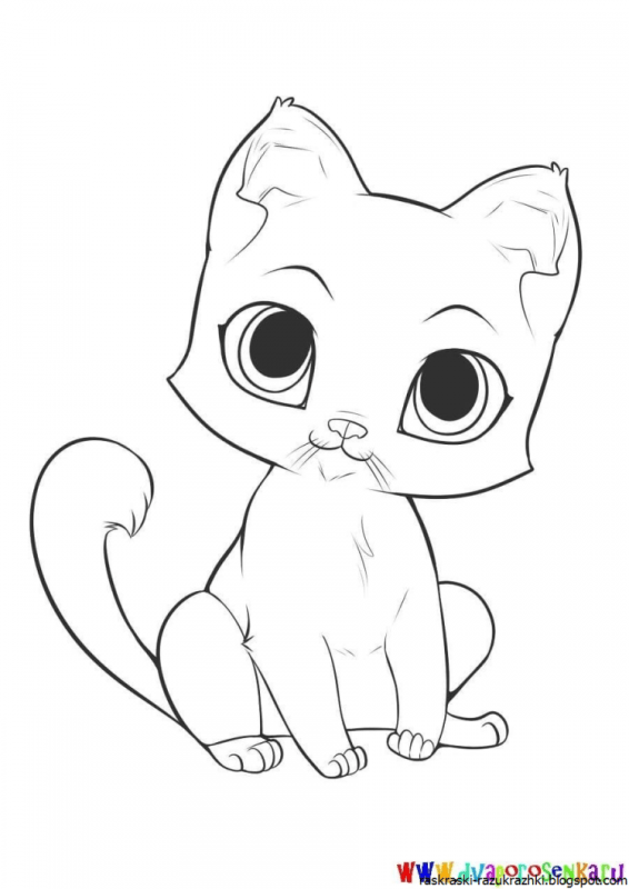 Котенок. Раскраска