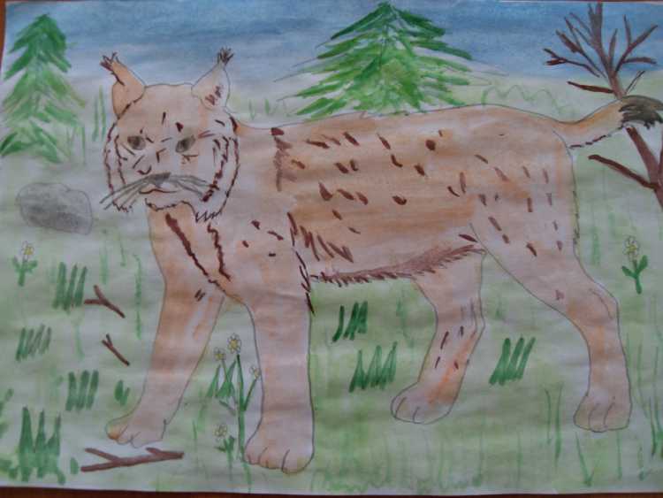 Рисунок животного