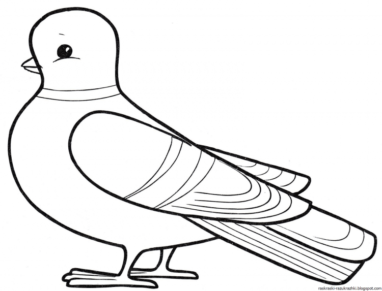 Голубь с веточкой раскраска