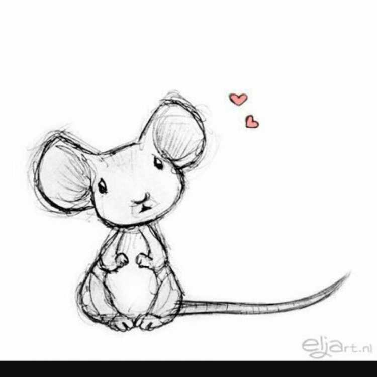 Рисунки для срисовки мышки легкие