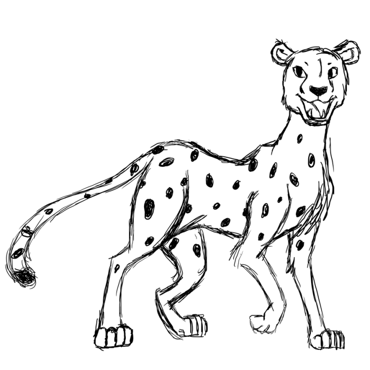 Переднеазиатский леопард раскраска