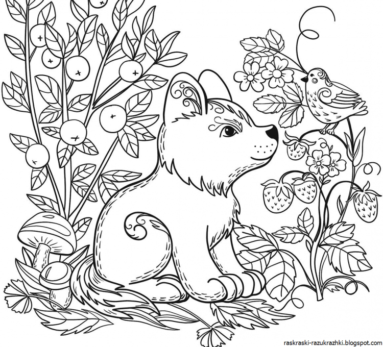 Раскраска пейзаж