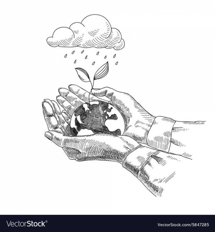 Сохраним родную природу рисунки