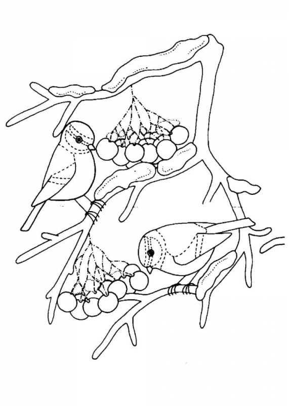 Снегирь раскраска