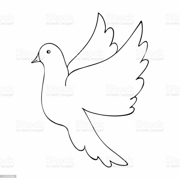 Макет летящего голубя