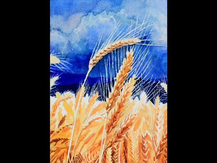 Рисование хлебное поле