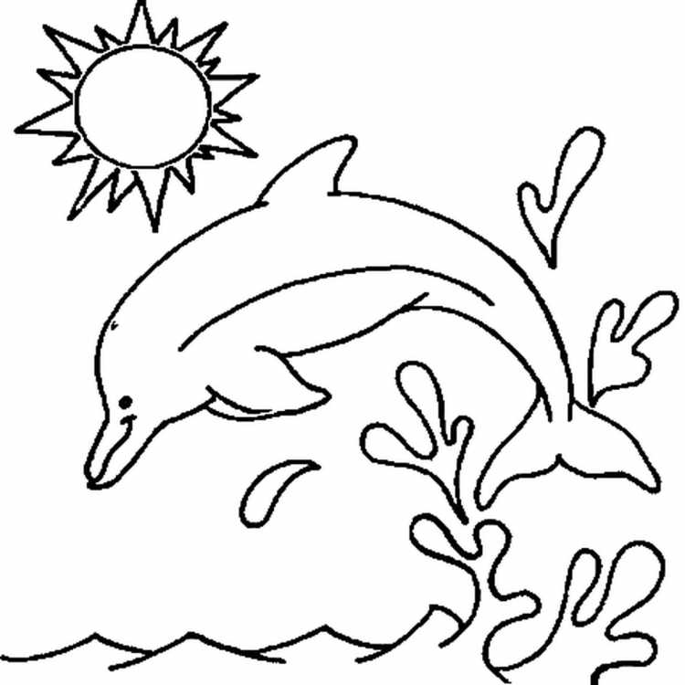 Дельфин картинка