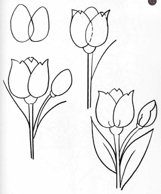 Тюльпан трафарет для вырезания бутон