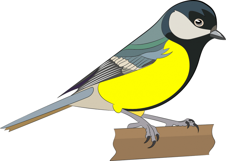 Синичка для детей