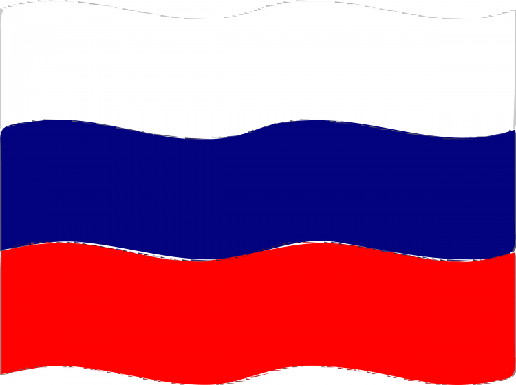 Российский флаг с черным контуром