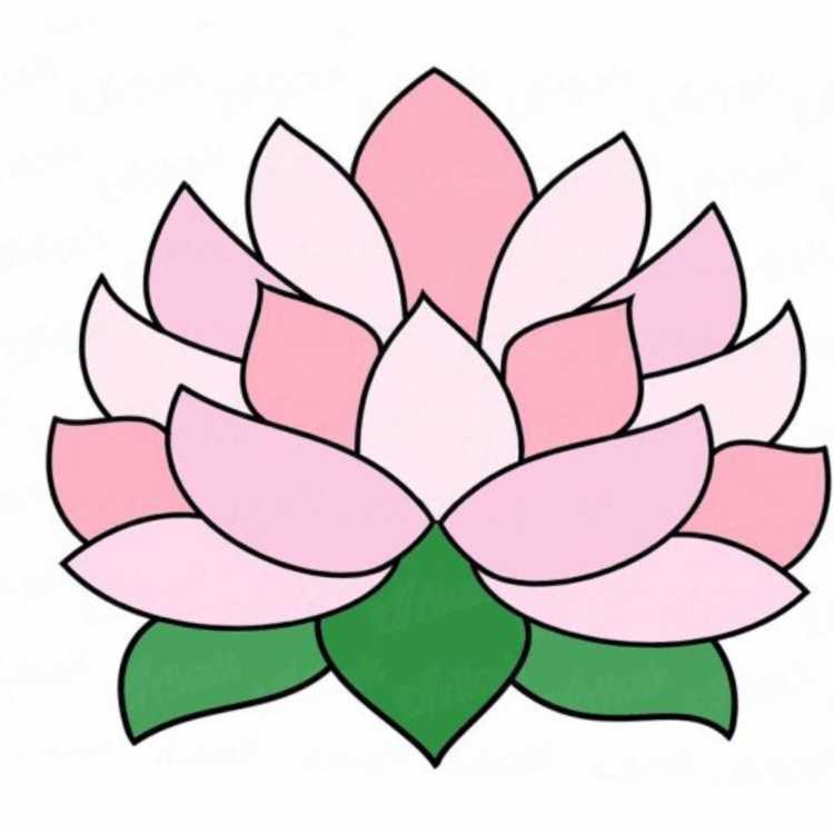 Рисование цветов для детей