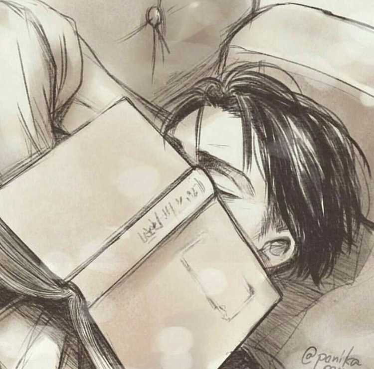 Леви Аккерман Сонный