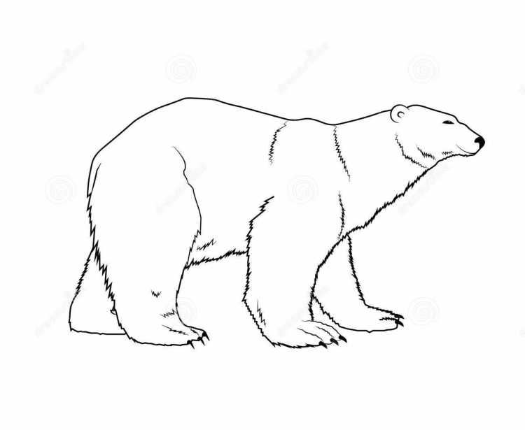 Раскраска. Медвежонок