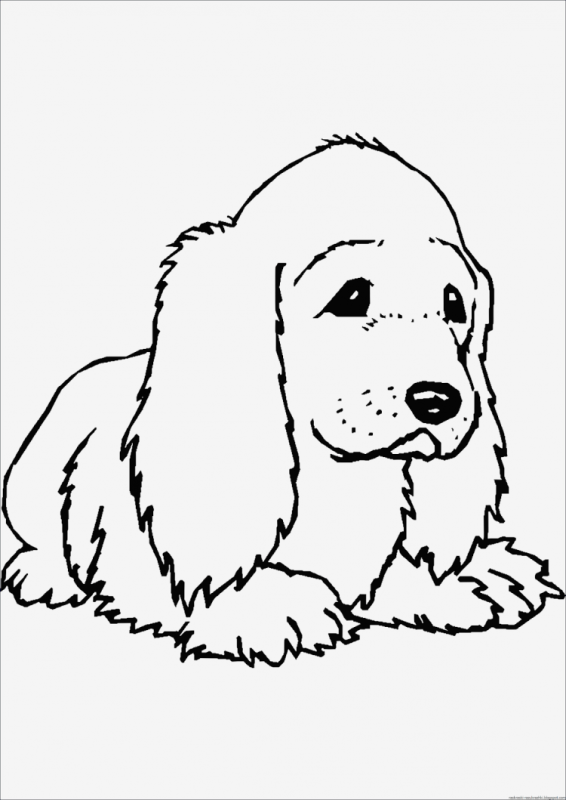 Леди и Бродяга раскраска