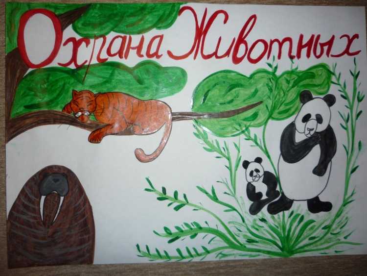 Кто из животных охраняется аппликация