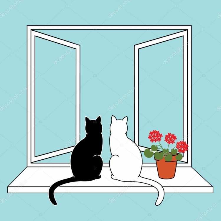Кошка на окошке силуэт
