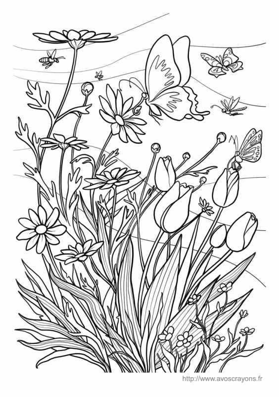 Раскраски для девочек растения и животные