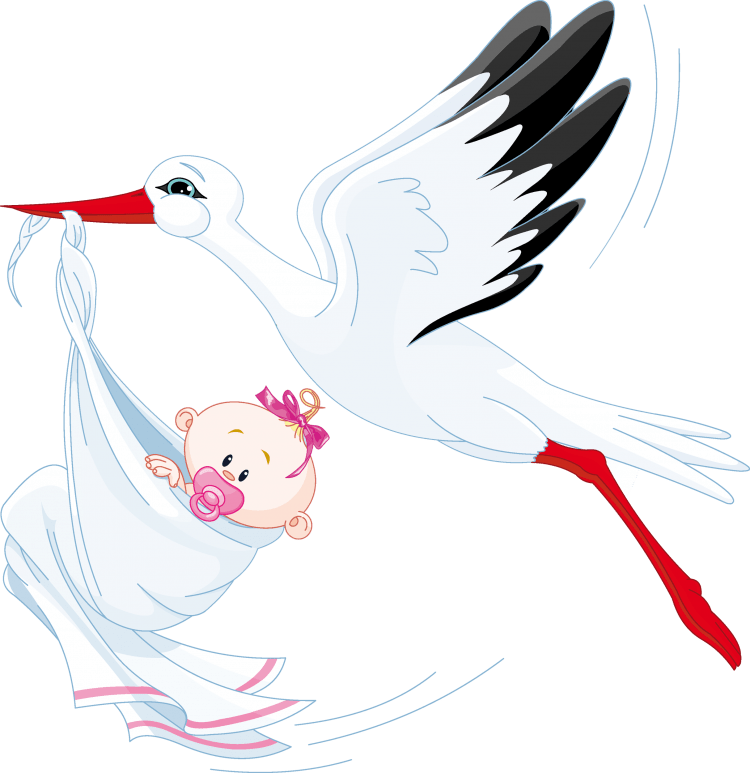 С рождением внучки