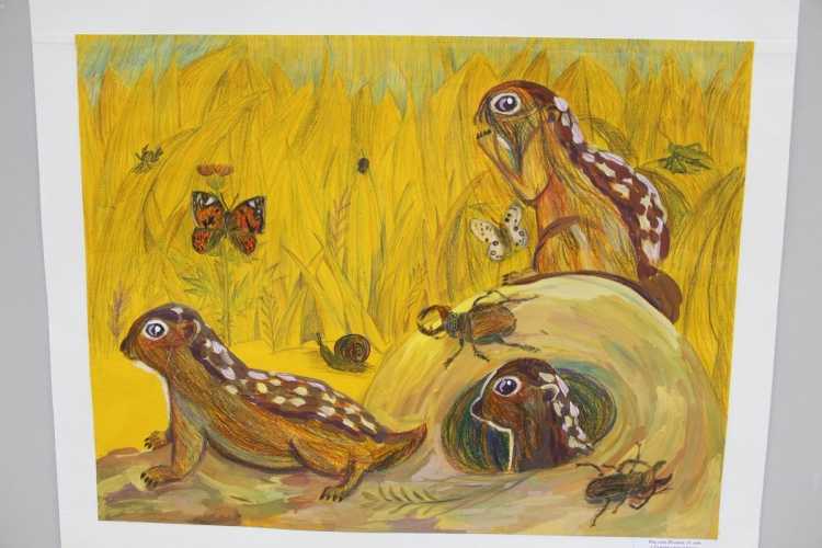 Животные Сурского края