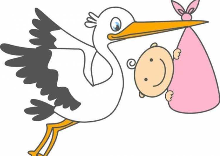 Аист с малышом