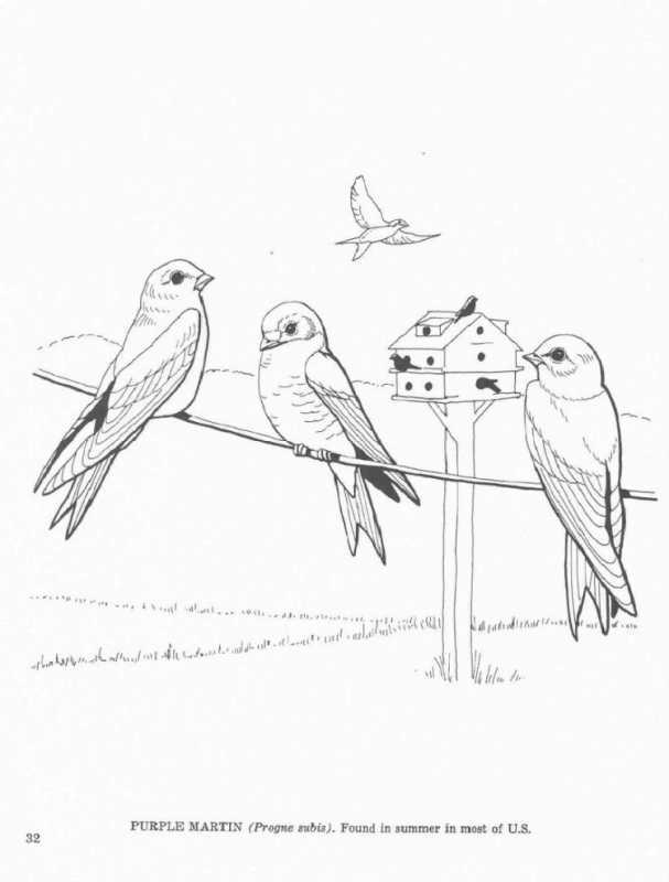 Рисование ласточки