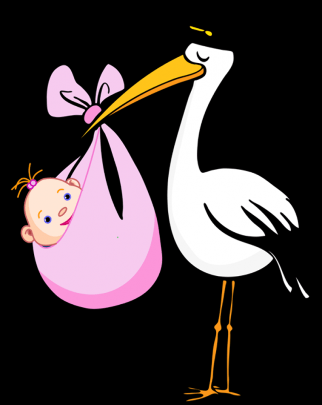 Аист клипарт