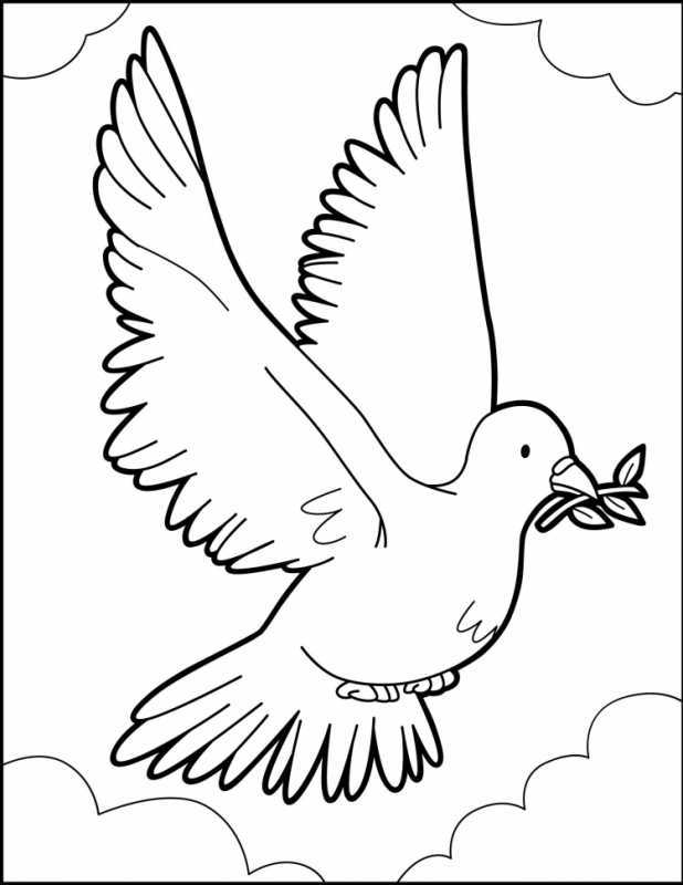 Голубь раскраска для детей