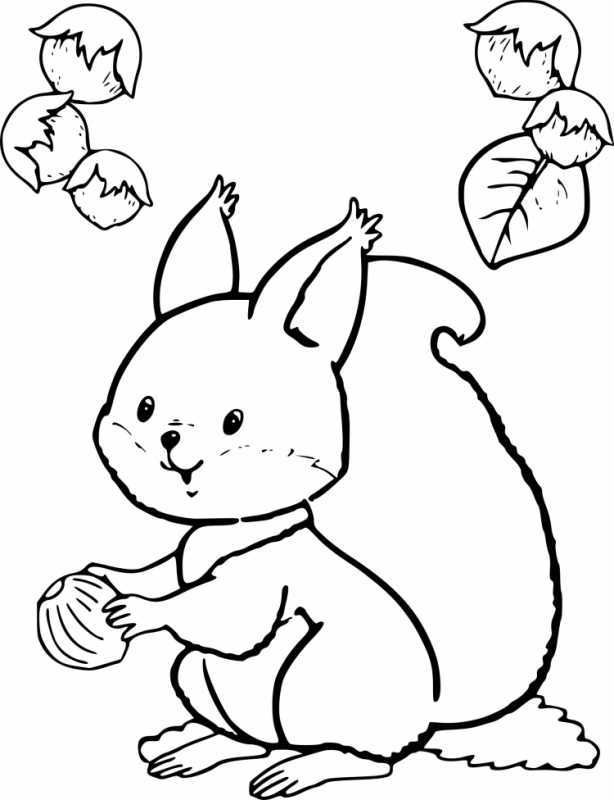 Новогодняя Белочка раскраска