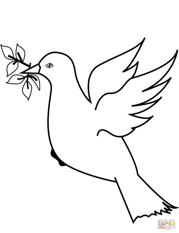 Голубь раскраска для детей