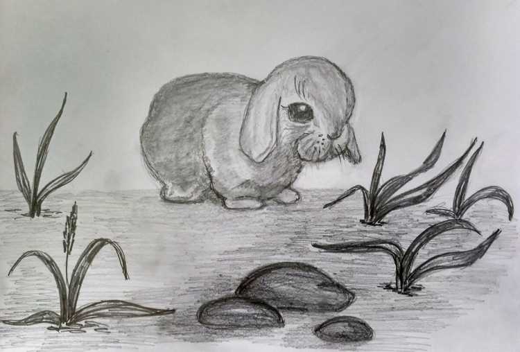 Простые рисунки на свободную тему