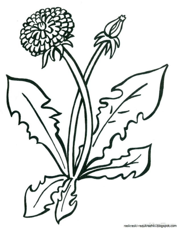 Лист одуванчика трафарет