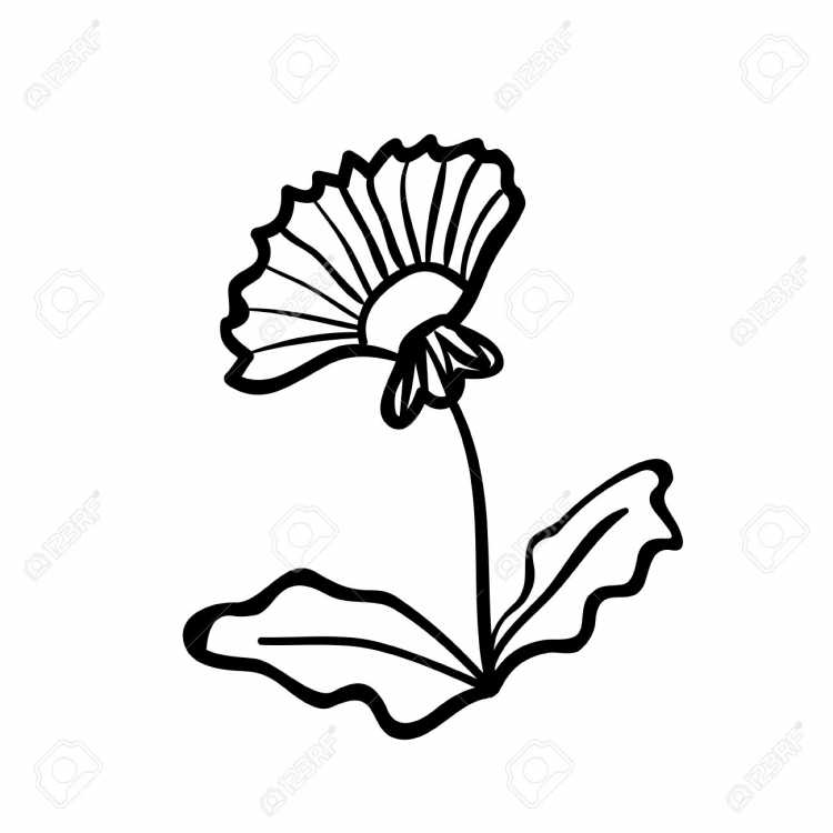 Одуванчик раскраска без цветов