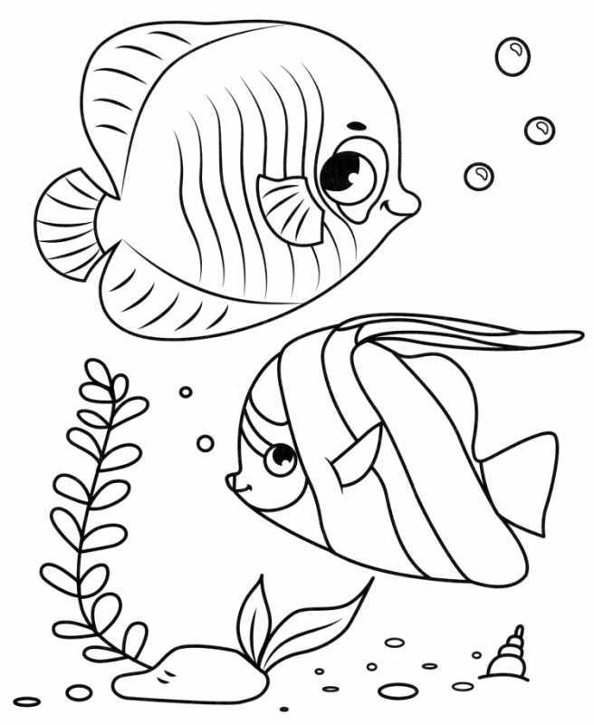Раскраска рыбка