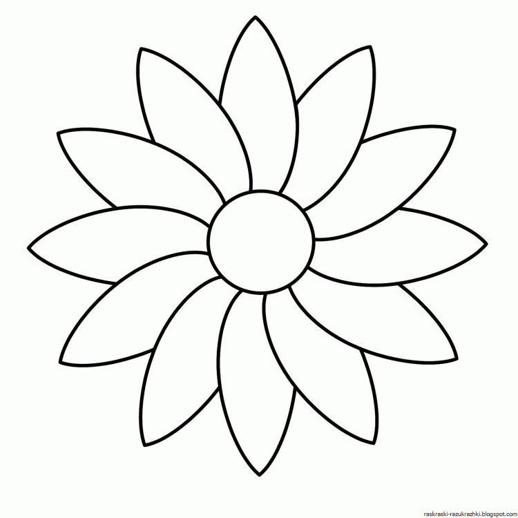 Раскраски для малышей. Ромашка