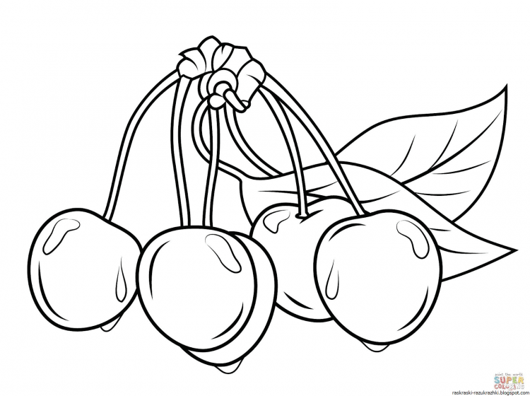 Фрукты раскраска для детей
