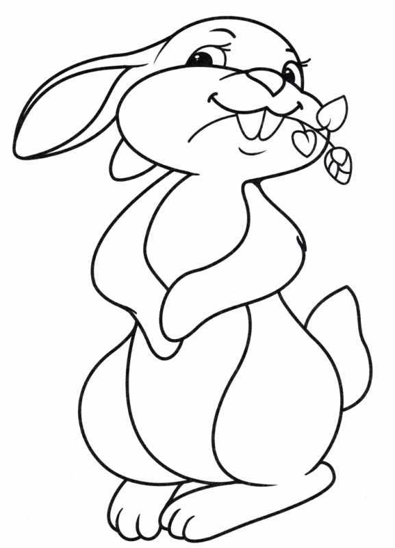 Кролик раскраска для детей