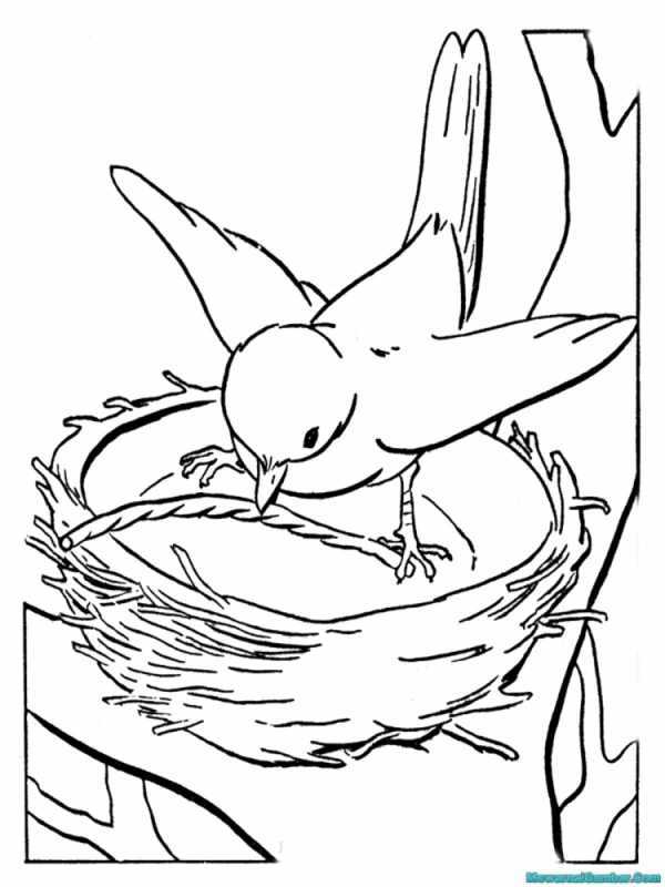 Трафарет ласточки для декора