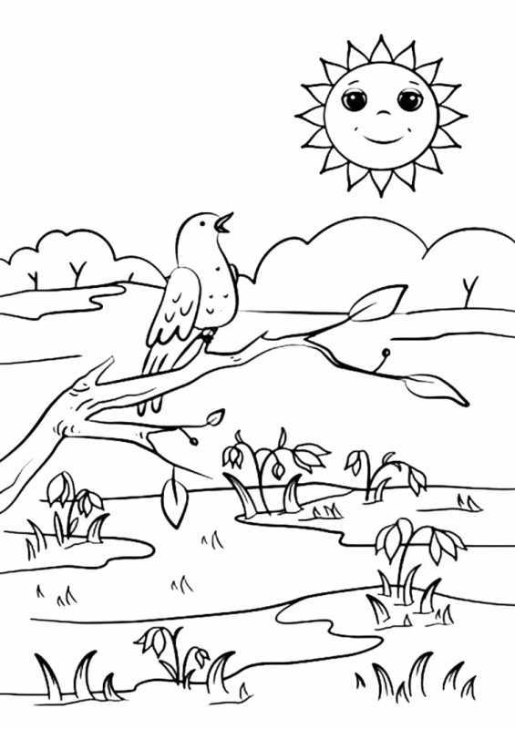 Раскраска пейзаж цветы