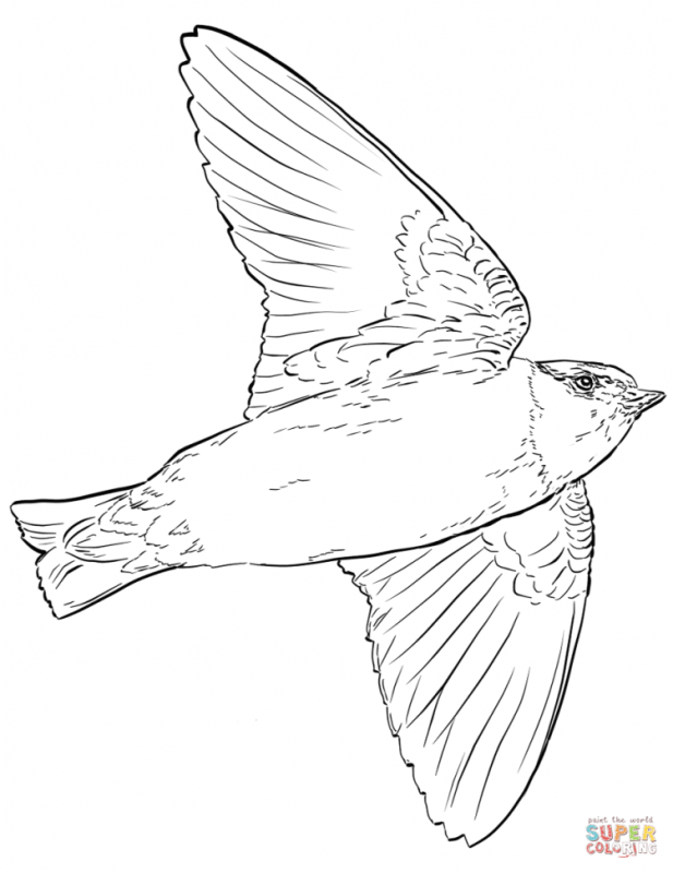 Рубцов Ласточка рисунок