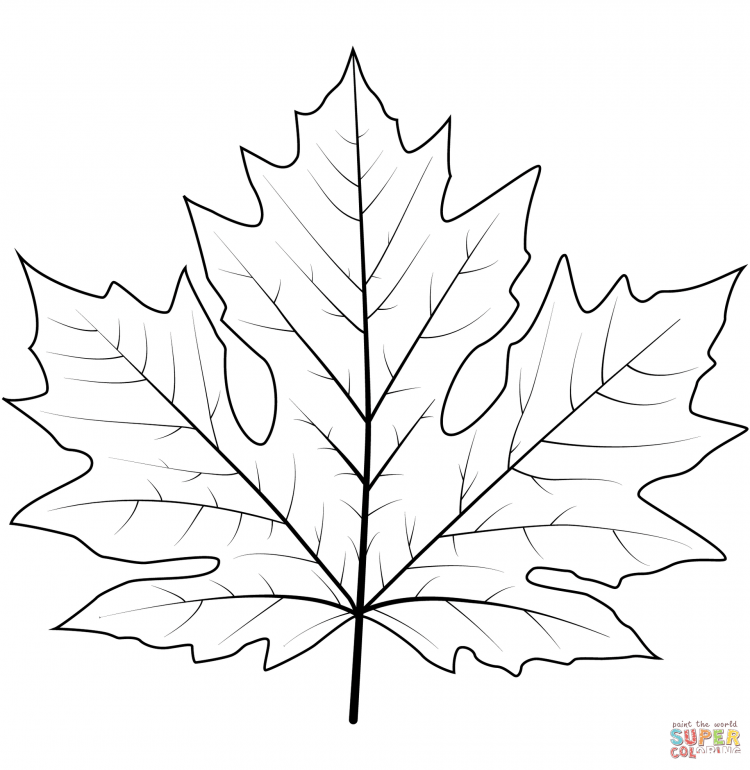 Лист огурца раскраска