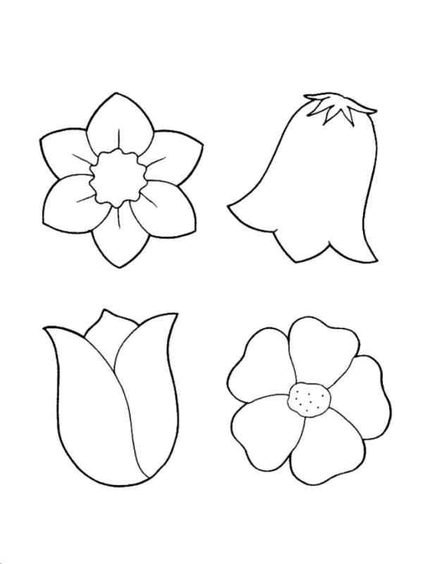 Легкие цветы для рисования