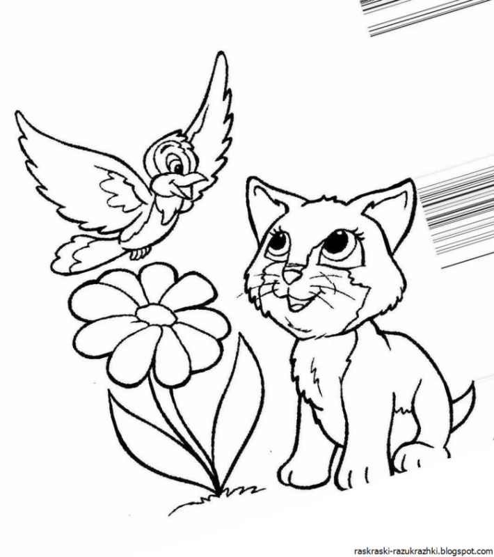 Раскраска кот