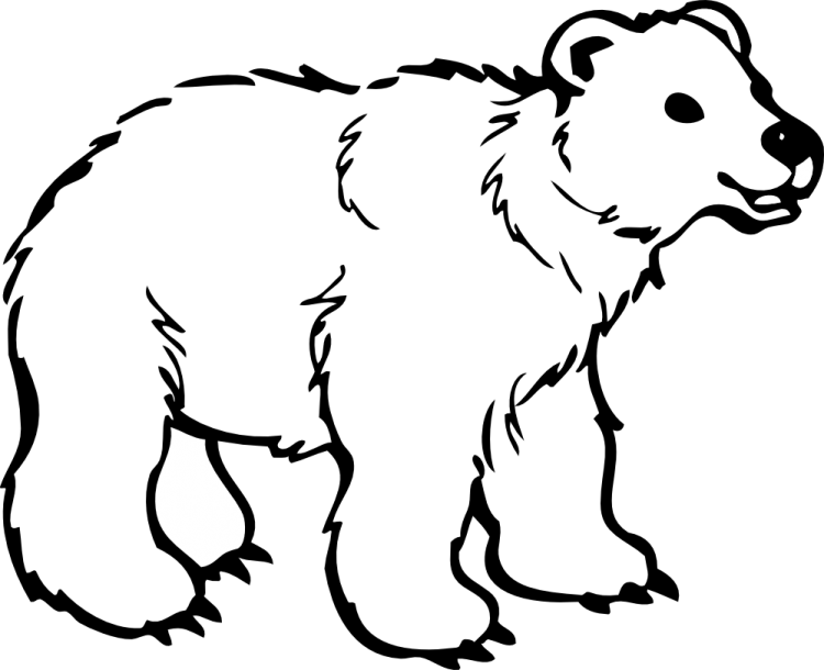 Медведь раскраска