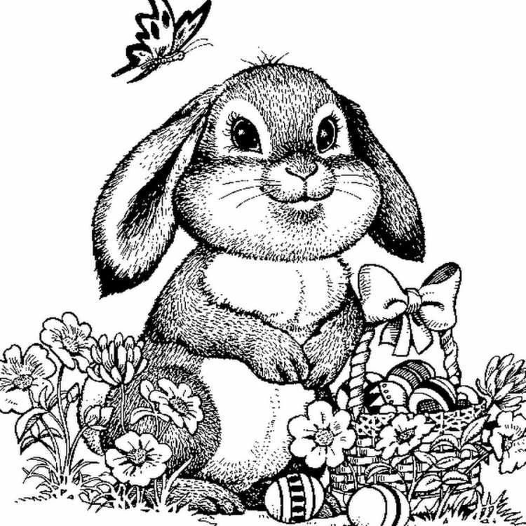 Раскраска «Зайка»