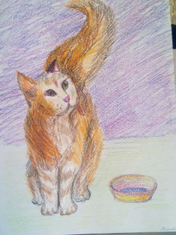 Мы в ответе за тех кого приручили рисунки