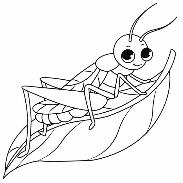 Пчела раскраска для детей